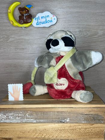DDC412 doudou et compagnie raton laveur 🦝