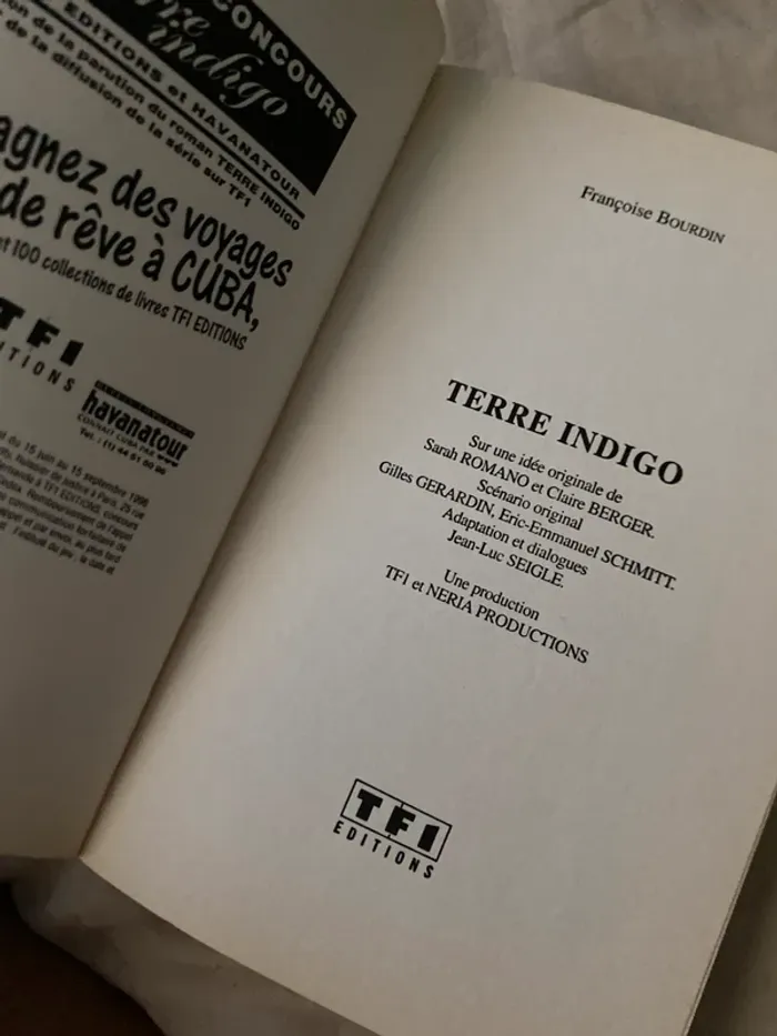 Terre Indigo – Françoise Bourdin - photo numéro 2