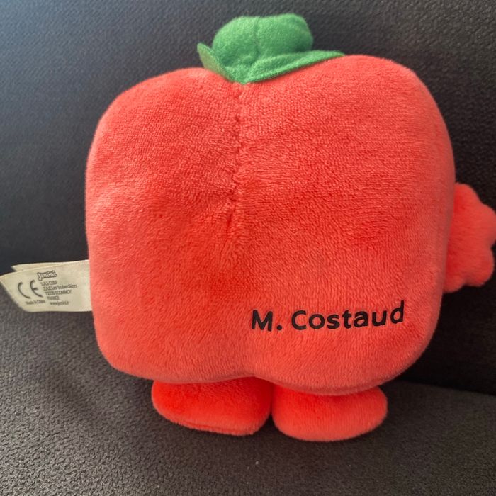 MR costaud - photo numéro 2