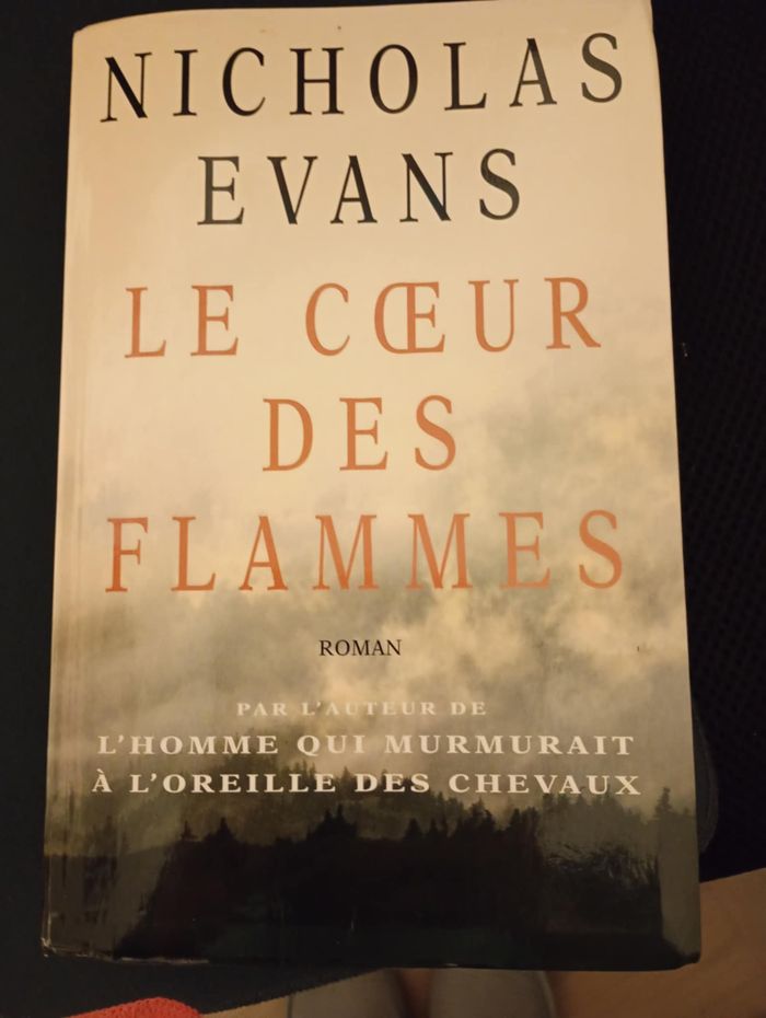 le coeur des flammes