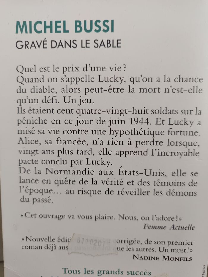 Thriller " Gravé dans le sable " - photo numéro 3