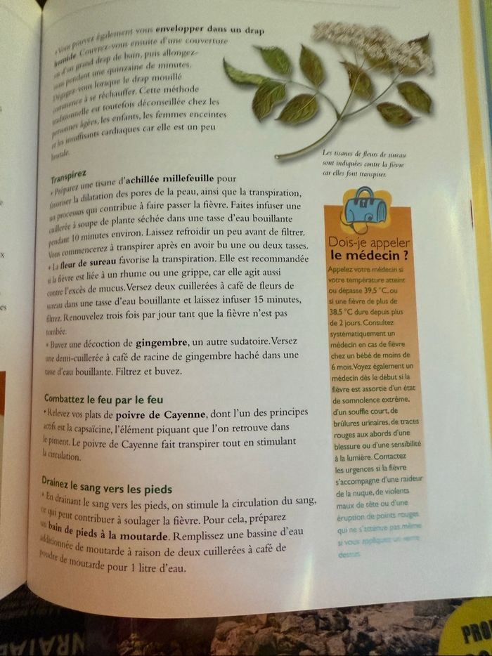 1001 remèdes maison - photo numéro 2