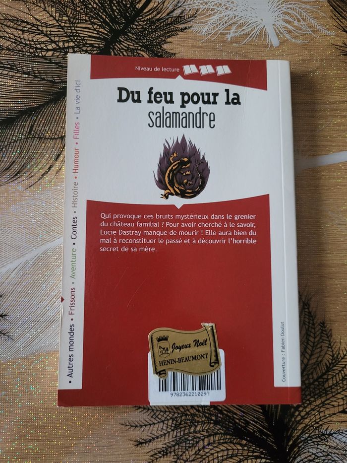 Du feu pour la salamandre Michel Amelin - photo numéro 2