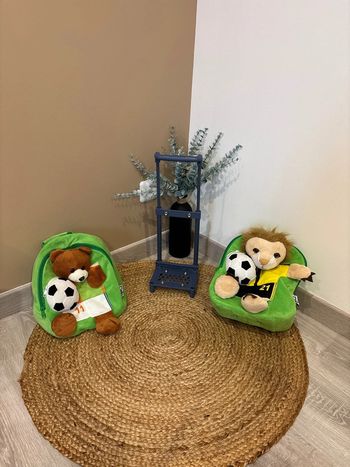 Lot de 2 sac à dos ou à roulettes