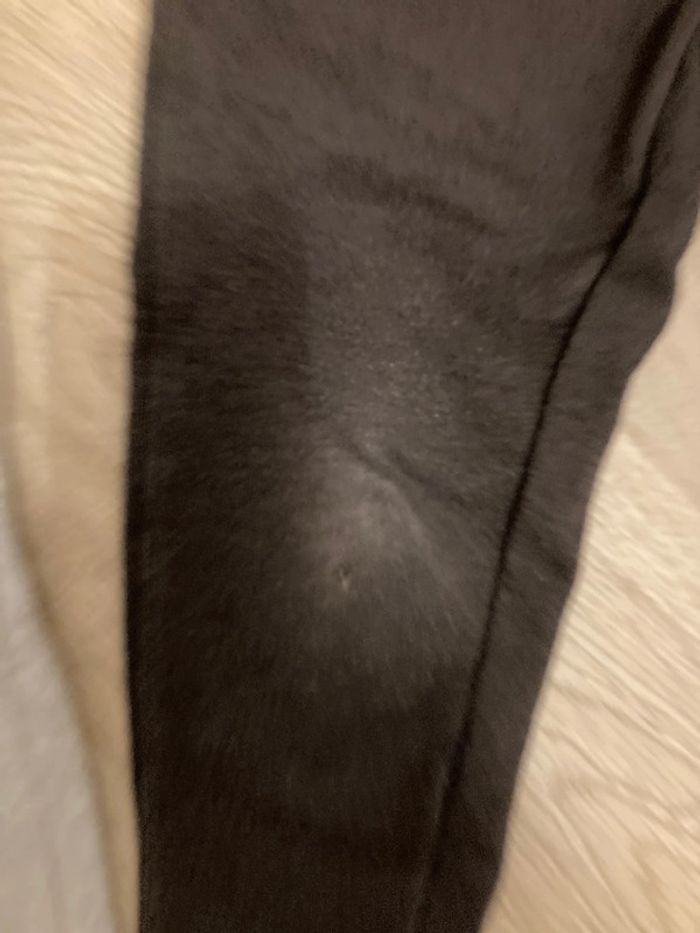 Lot de 2 joggings 6ans - photo numéro 3