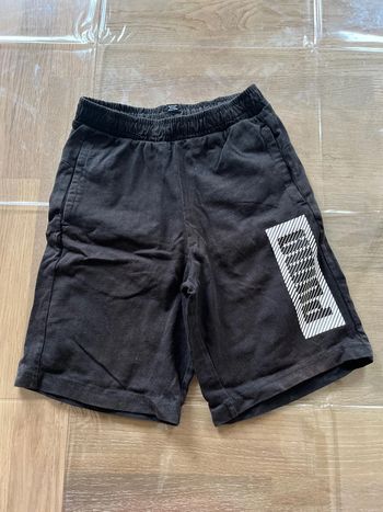 Short puma