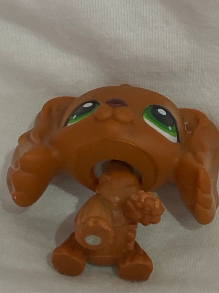 lps cocker - photo numéro 7