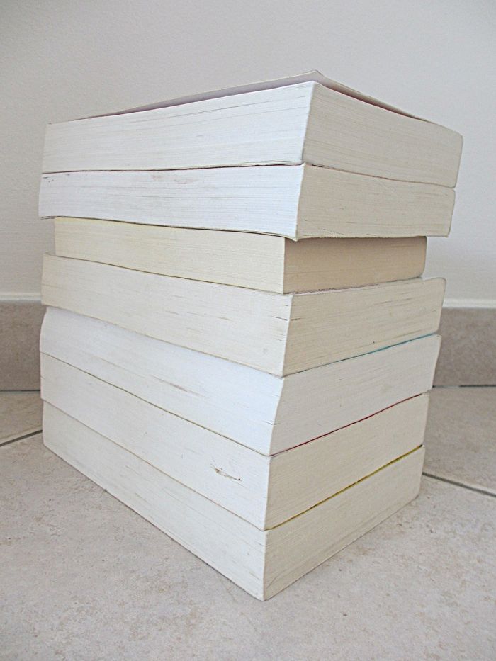 Lot de 7 livres enfant Le Journal d’une Grosse Nouille – Tomes 1 à 7 - photo numéro 4
