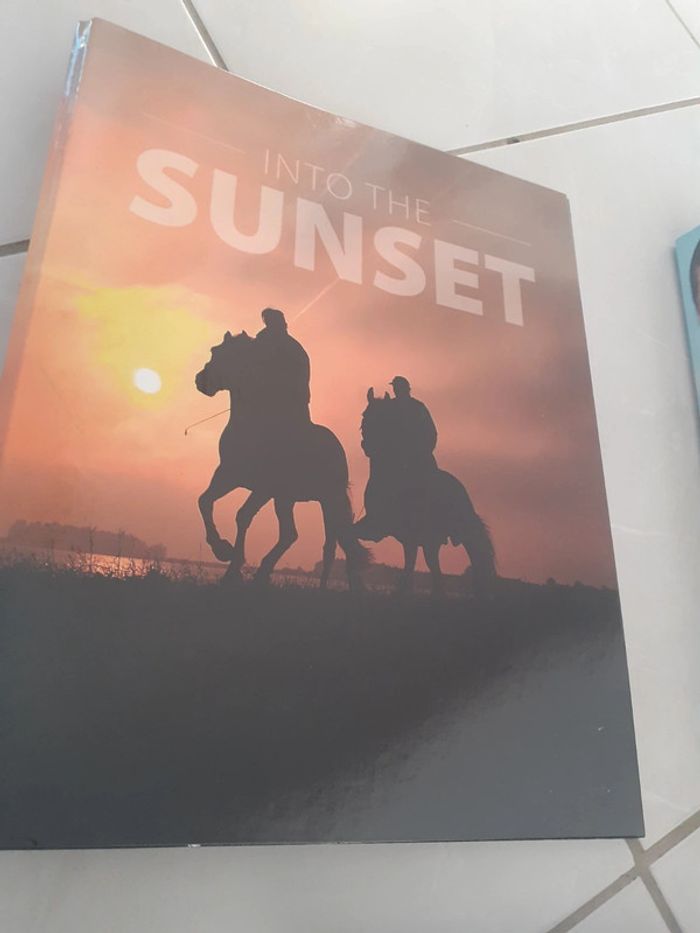 Lot classeurs pochettes rigides chevaux chiens - photo numéro 5