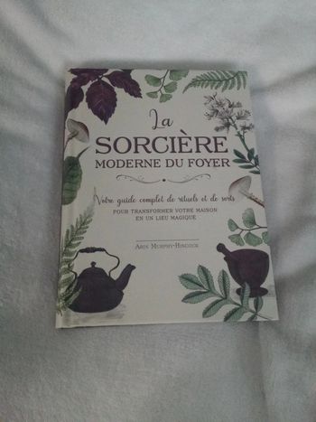 La sorcière moderne du foyer