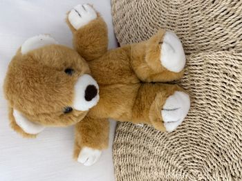 peluche ours marron vintage ajena