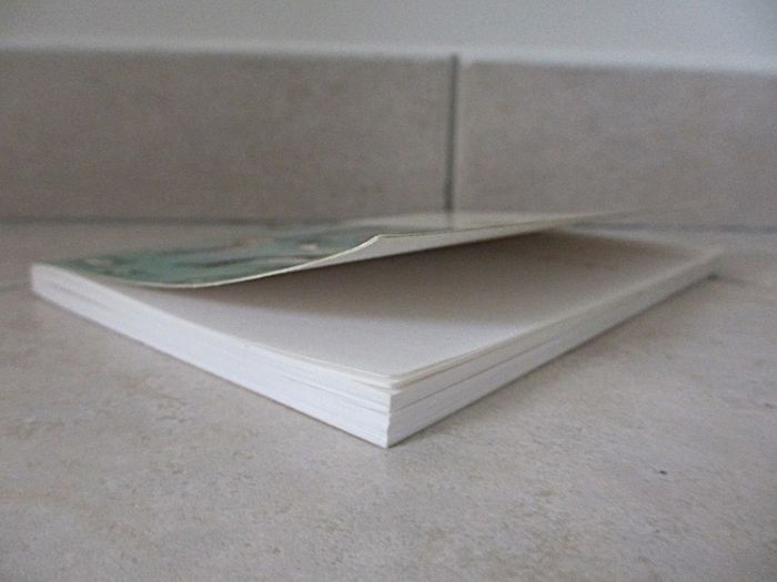 Livre enfant Un Papa pas possible – Pierre Louki - photo numéro 5