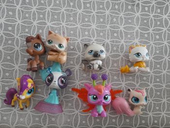 lps Petshop rare