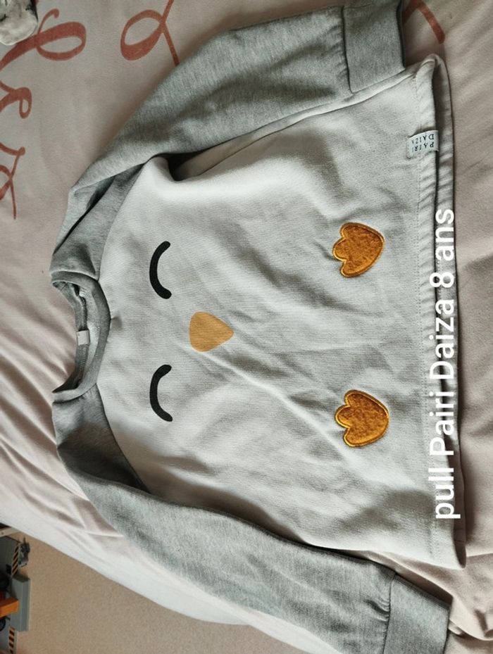 Pull Pairi Daiza 8 ans