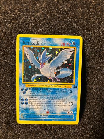 Artikodin holo 1995 proxy