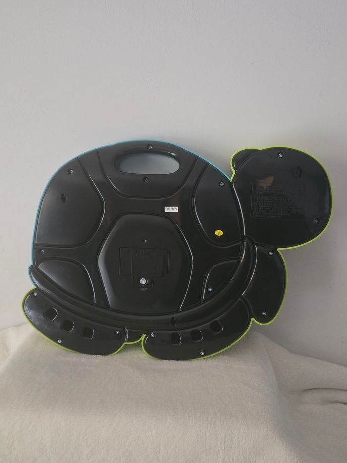 Thaïs la tortue exploratrice. - photo numéro 2