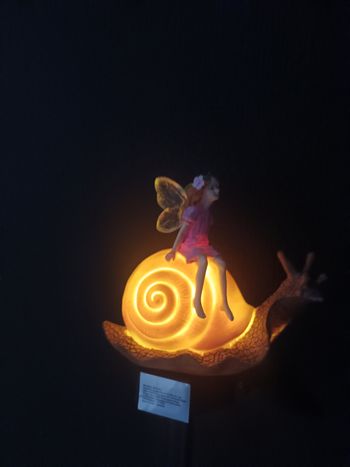 Deco jardin lumière 