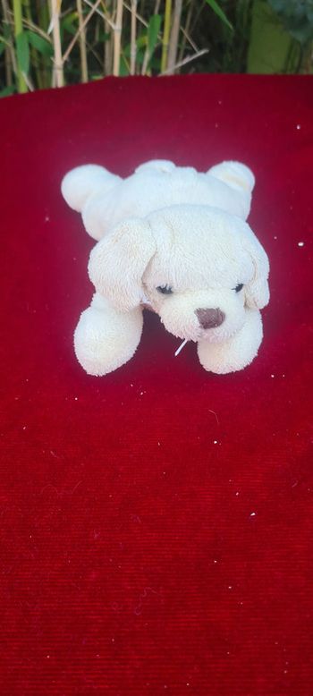 Petit doudou chien labrador sable moue beige truffe chocolat marron