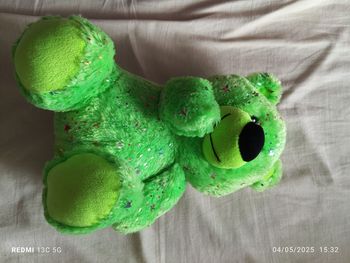 Ourson étoiles vert