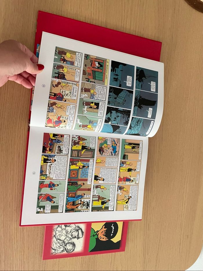 🌟 BD TINTIN - photo numéro 2