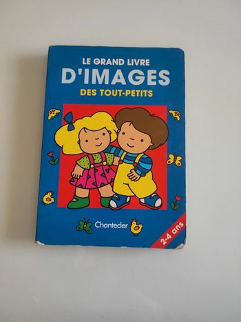 Livre Le grand livre d'images des tout petits