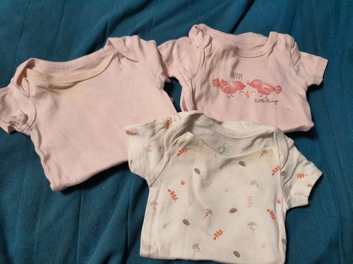 Lot de 3 bodies Tex Manches courtes été fille 6 mois