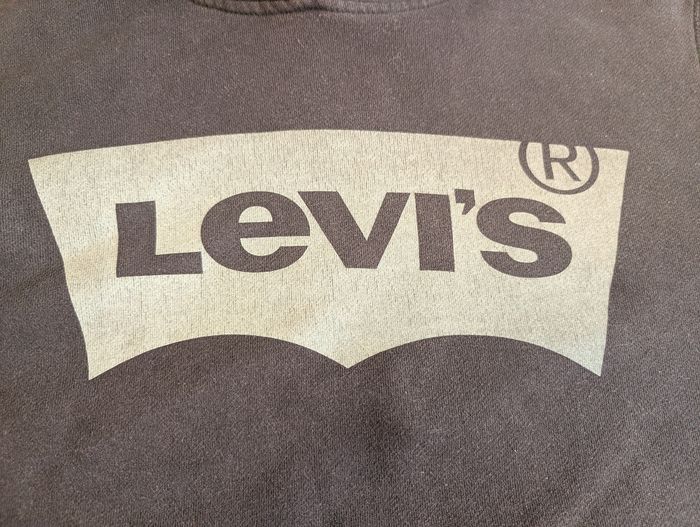 Sweat à capuche unisexe 16 ans Levi's - photo numéro 2