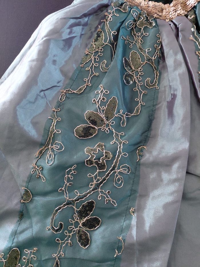 Déguisement robe princesse Anna verte paillette 5ans - photo numéro 5