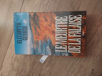 Livre Le meurtre de la falaise