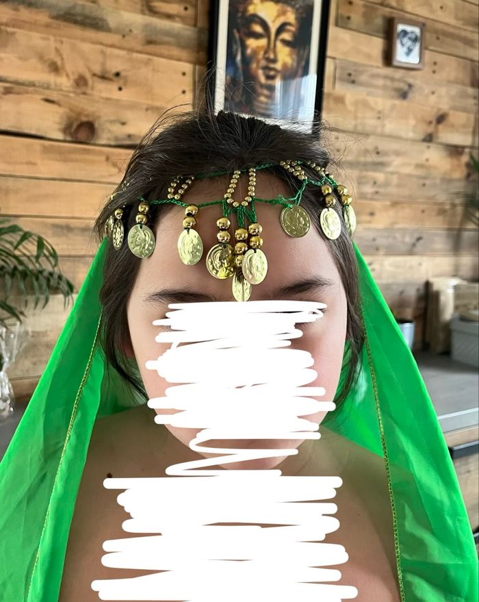 Tenue indou carnavalesque - photo numéro 2