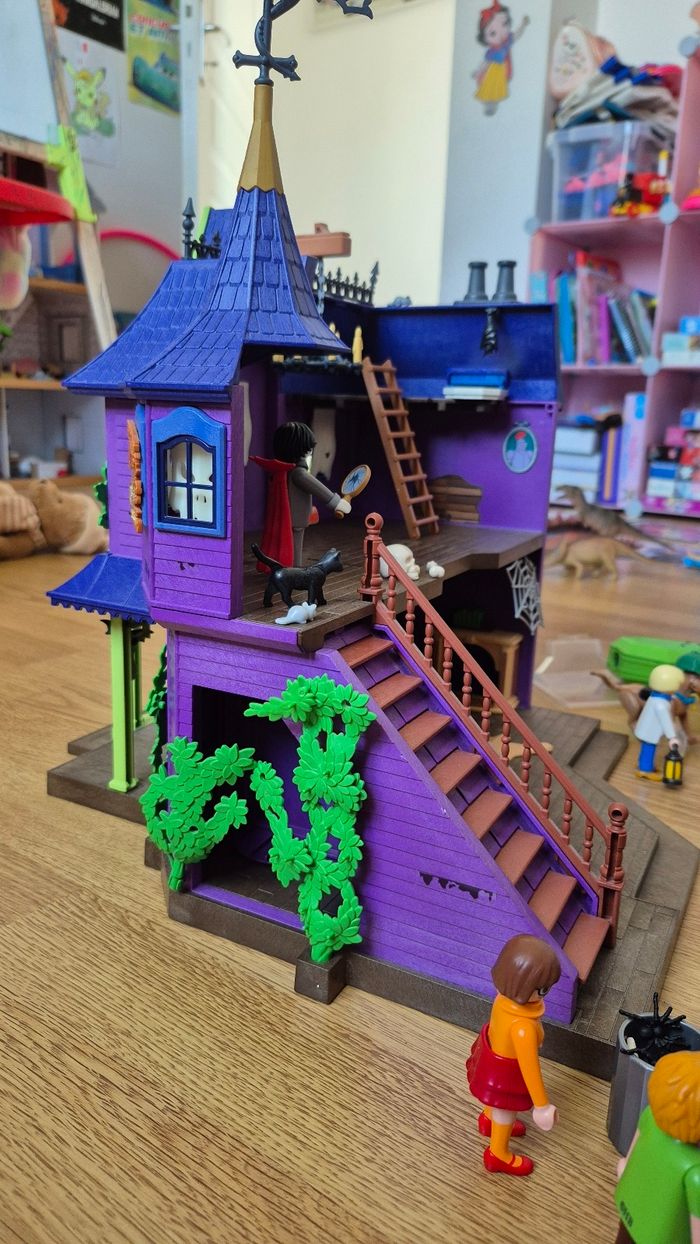 Manoir scooby doo - photo numéro 7