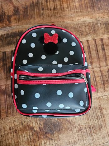 Sac minnie disneyland