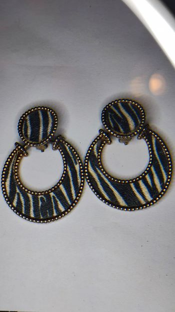 Gros clips d'oreilles zebre