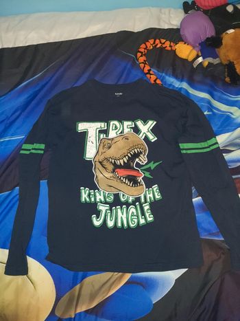 Teeshirt manche longue