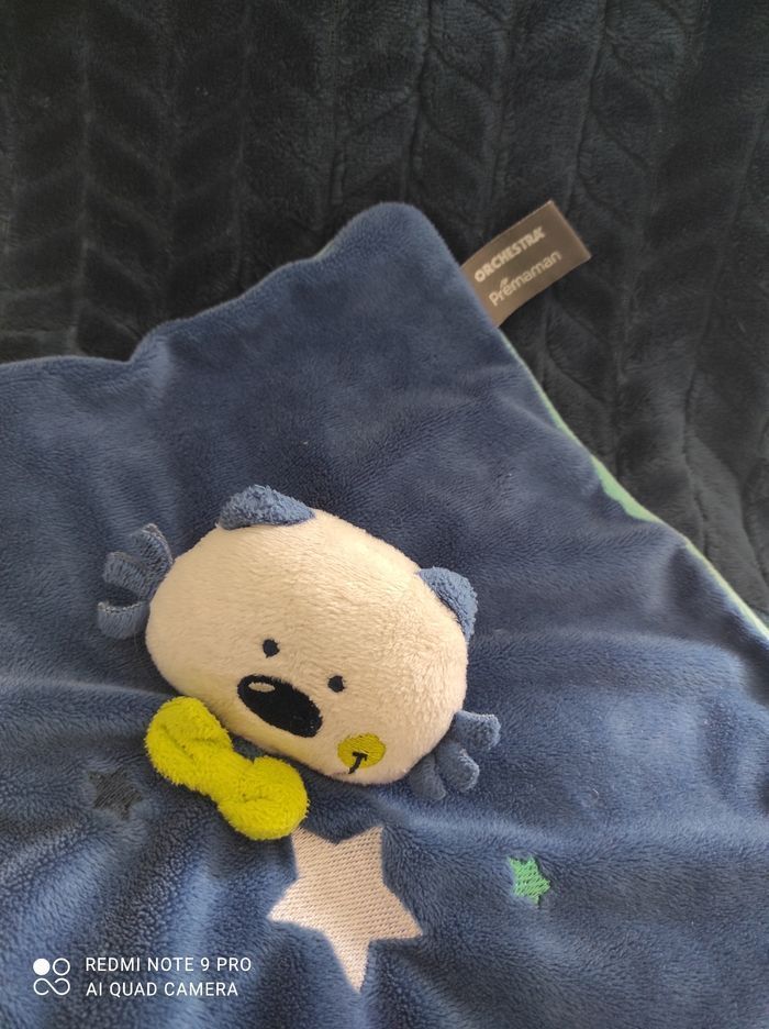 Chat abracadachat orchestra bleu - photo numéro 2