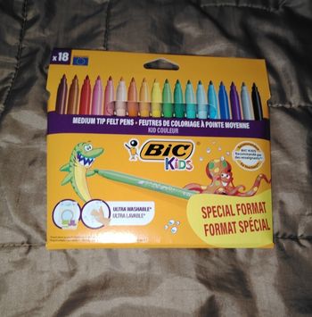 Lot 18 feutres bic