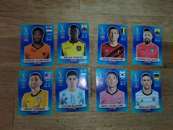Panini Qatar 2022