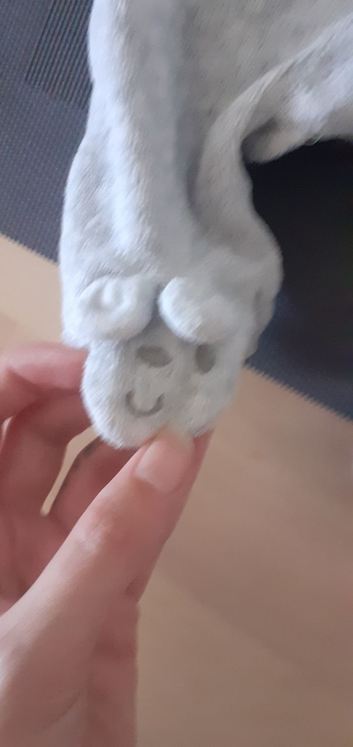 Pyjama gris 0m - photo numéro 2