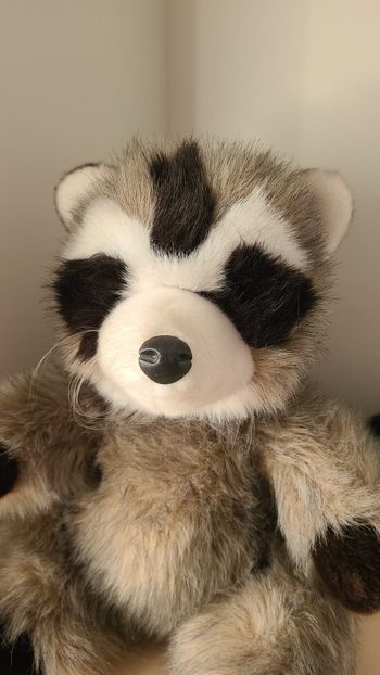 peluche raton laveur assis marque nounours