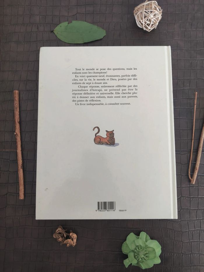 Mille milliards de questions sur la vie, le Monde et Dieu - photo numéro 3