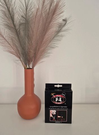 🎁 Jeu de magie : la guillotine à cigarette