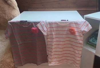 Lot de 2 tee shirt pour fille - 12 ans