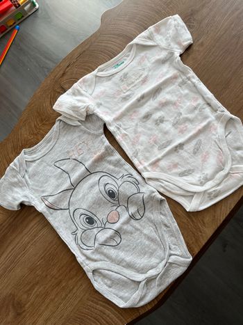 Lot bodies Panpan Disney