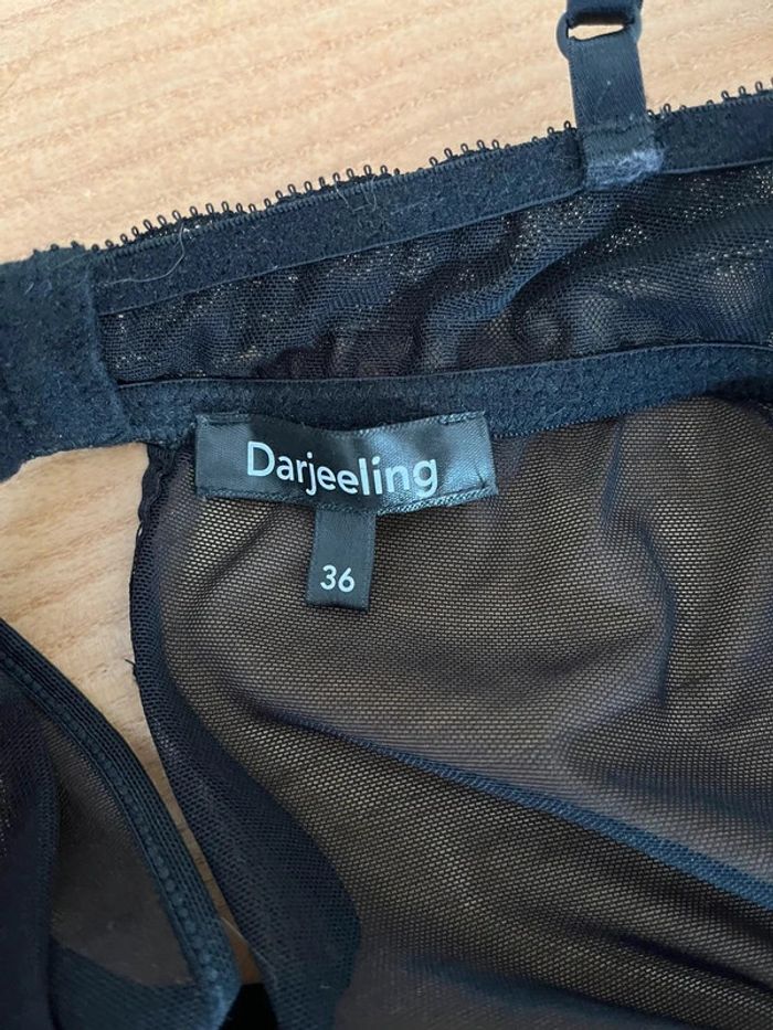 Nuisette noir Darjeeling - photo numéro 5