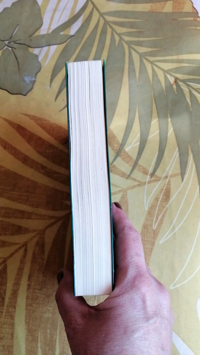 La couleur de l espoir - photo numéro 4