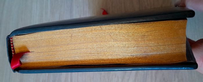 La Révolution - Louis Madelin - photo numéro 5