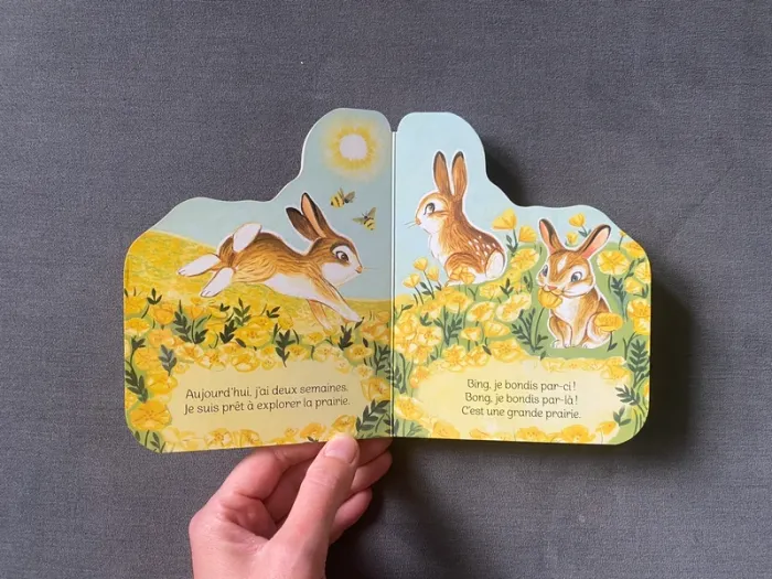 Petit lapin Editions p'ti chou - photo numéro 3