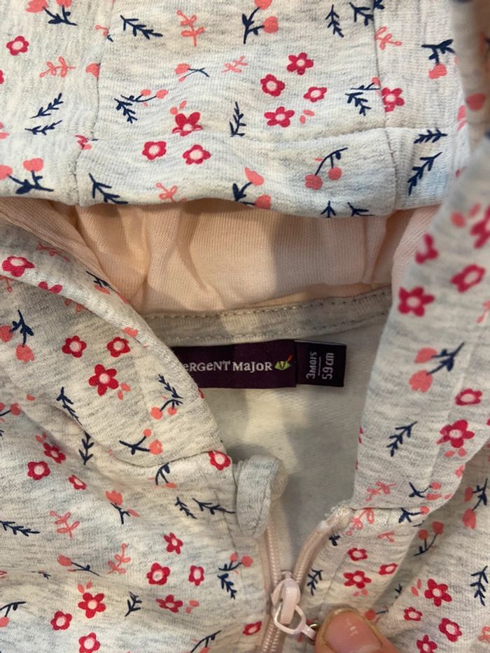 Pull à capuche bébé 3 mois - photo numéro 2