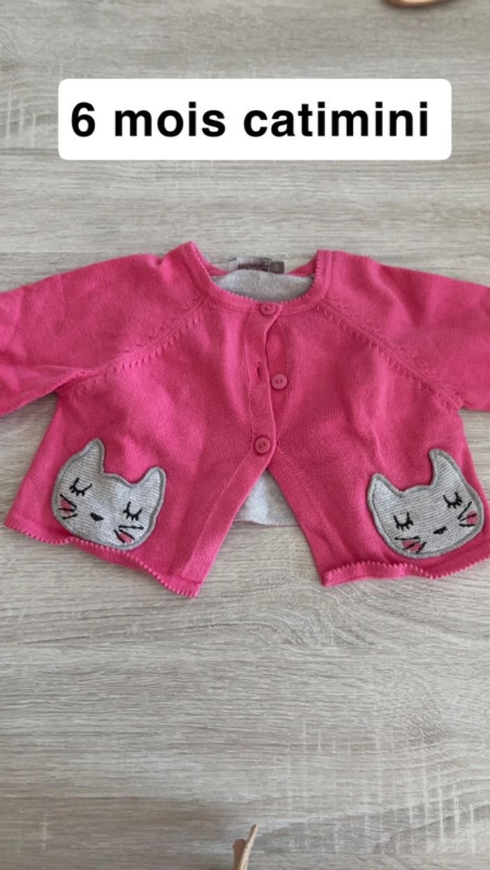 Gilet avec chats