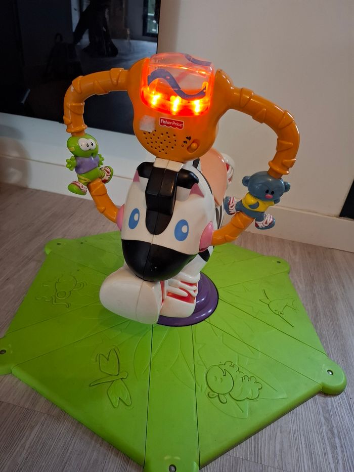 Zèbre tourni rebond - photo numéro 2